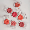 Blush Margaripetala Maria Margarida